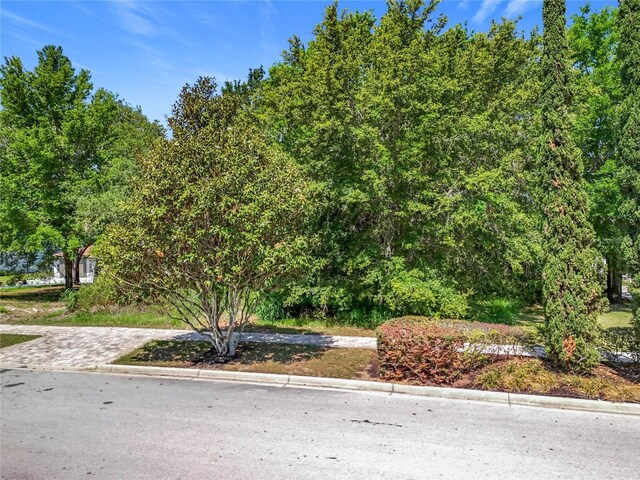 15345 Pendio Dr, Bella Collina, FL 34756 - photo 14