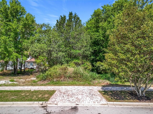 15345 Pendio Dr, Bella Collina, FL 34756 - photo 15