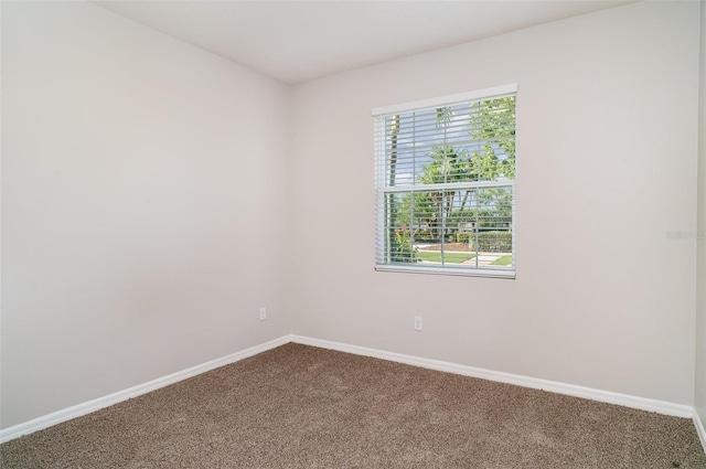 7308 Hermes Ct, Apollo Beach, FL 33572 - unfurnished room with dark colored carpet and baseboards