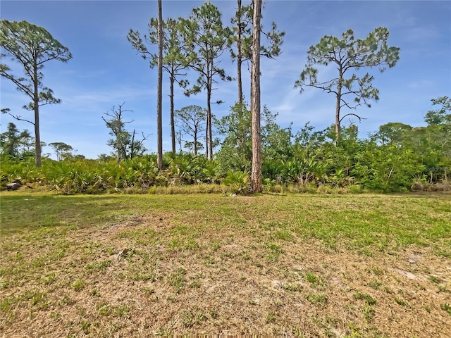 13210 Essman Ave, Port Charlotte, FL 33953 - view of yard