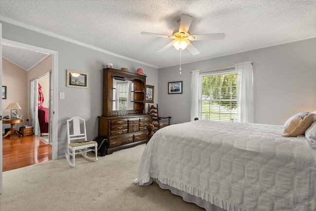 1146 Villa Ln Unit 101, Apopka, FL 32712 - bedroom with carpet flooring, ornamental molding, a textured ceiling, and ceiling fan
