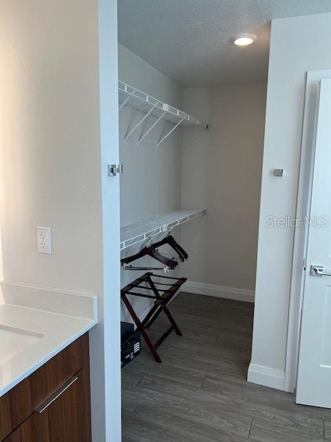 14501 Grove Resort Ave Unit 2129, Winter Garden, FL 34787 - walk in closet with dark wood-style floors and a sink