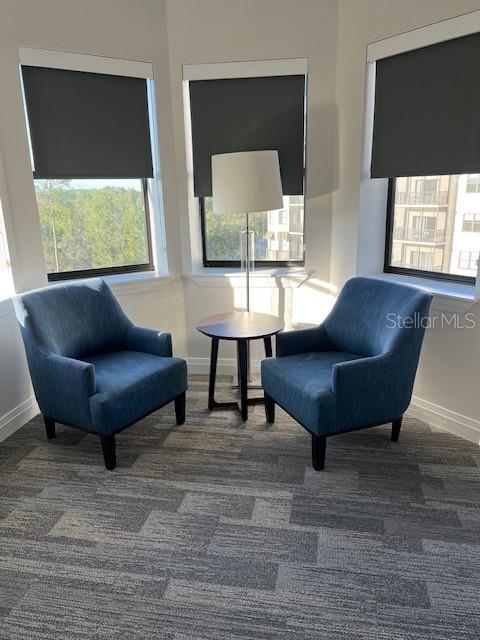 14501 Grove Resort Ave Unit 2129, Winter Garden, FL 34787 - sitting room with baseboards, healthy amount of natural light, and carpet