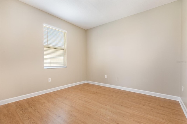 11621 Ashton Field Ave, Riverview, FL 33579 - empty room with light wood-type flooring and baseboards