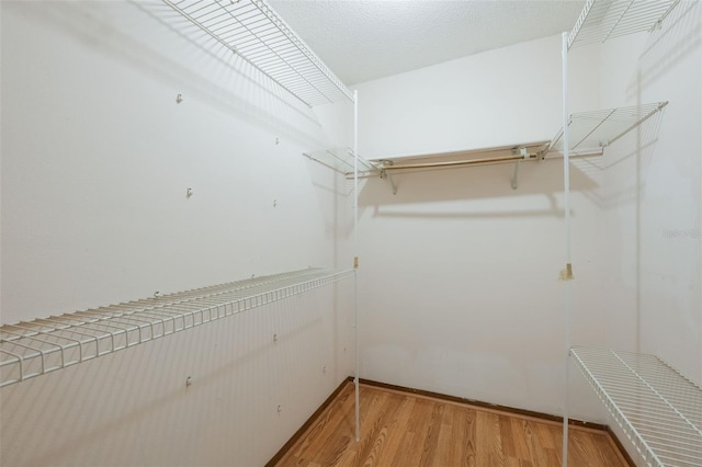 148 Olive Tree Cir Unit 148, Altamonte Springs, FL 32714 - walk in closet featuring wood finished floors