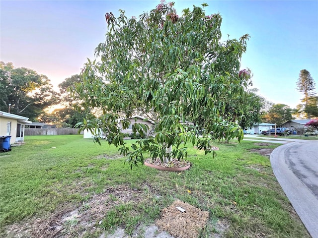 663 68th Ave S, Saint Petersburg, FL 33705 - view of yard at dusk