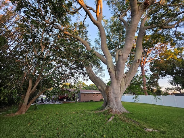 663 68th Ave S, Saint Petersburg, FL 33705 - view of yard