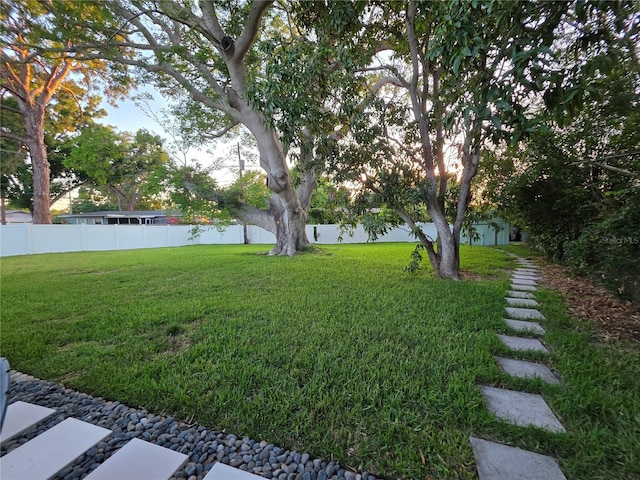 663 68th Ave S, Saint Petersburg, FL 33705 - view of yard