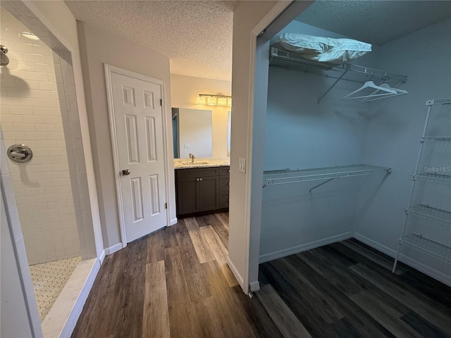 spacious closet featuring dark wood-type flooring and a sink