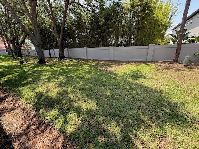 view of yard