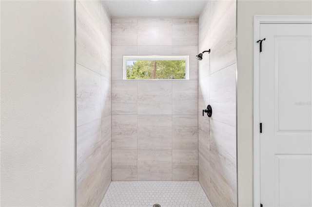 17762 SW 33rd Ter, Ocala, FL 34473 - full bath featuring a shower stall