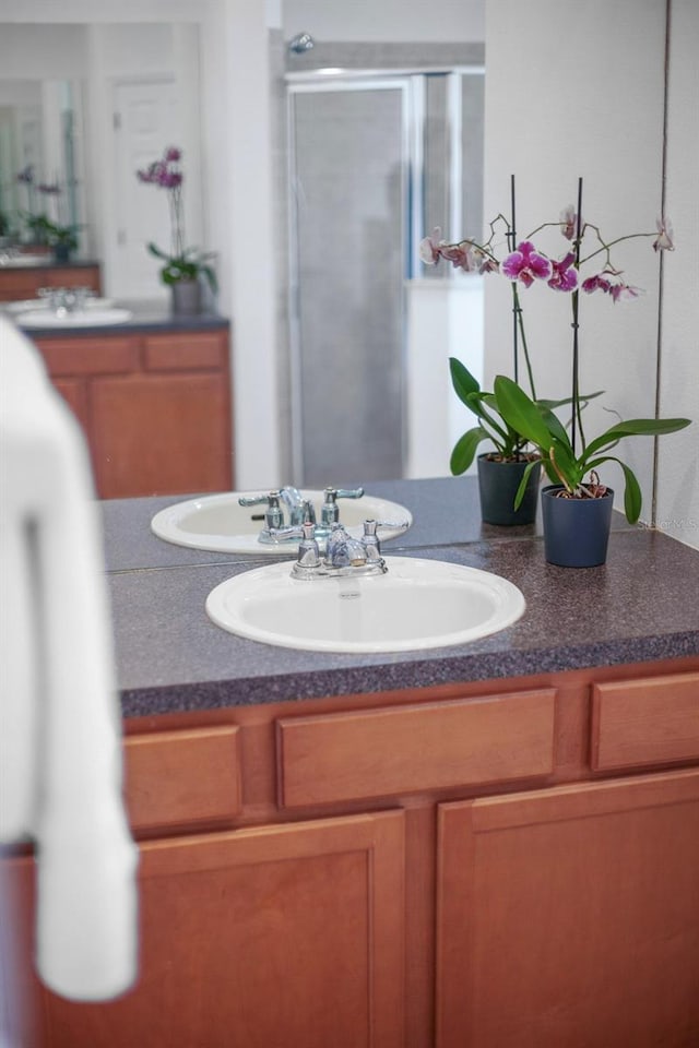13631 Via Roma Cir, Clermont, FL 34711 - full bath featuring vanity and a stall shower