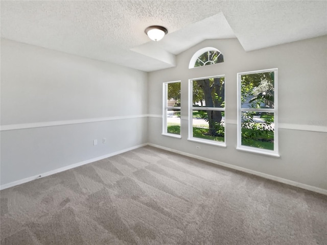 612 Doe Cove Pl, Apopka, FL 32703 - carpeted spare room with baseboards, lofted ceiling, and a textured ceiling