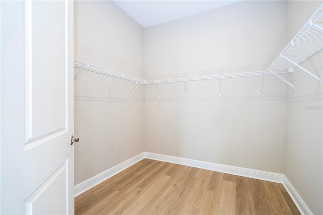 16489 Silver Brook Way, Winter Garden, FL 34787 - spacious closet featuring light wood finished floors