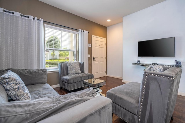 3229 Cupid Pl, Kissimmee, FL 34747 - living room with baseboards, wood finished floors, and recessed lighting