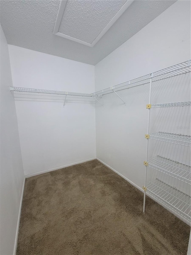 3124 S Semoran Blvd Unit 206, Orlando, FL 32822 - spacious closet with carpet and attic access