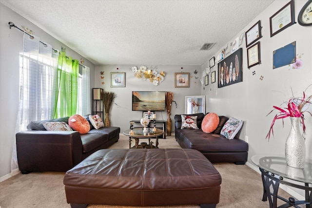 1321 Dunbarton Ct, Kissimmee, FL 34758 - living area featuring carpet, a textured ceiling, and baseboards