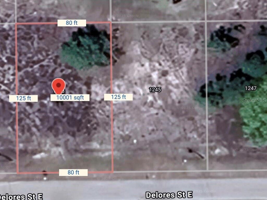 1243 Delores St E, Lehigh Acres, FL 33974