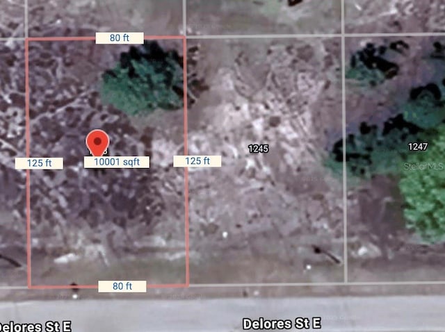 1243 Delores St E, Lehigh Acres, FL 33974