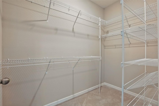 328 Cedar Bark Ln, Sanford, FL 32771 - walk in closet featuring carpet flooring