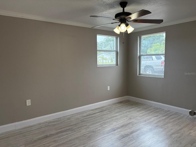1516 Culverhouse Dr, Daytona Beach, FL 32117 - photo 10