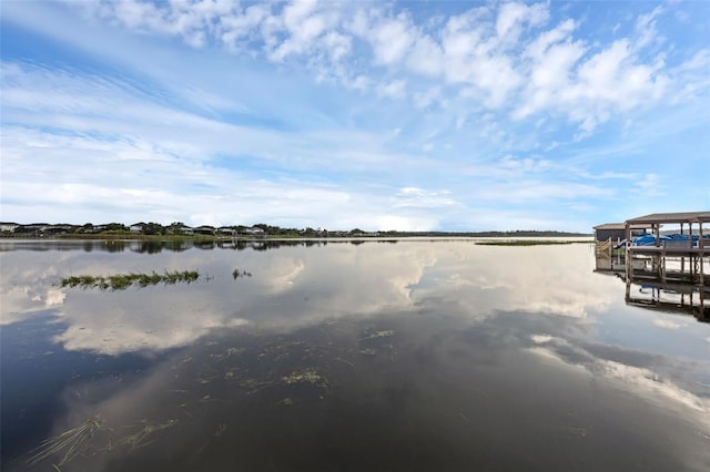16086 Johns Lake Overlook Dr, Winter Garden, FL 34787 - water view