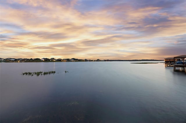16086 Johns Lake Overlook Dr, Winter Garden, FL 34787 - water view
