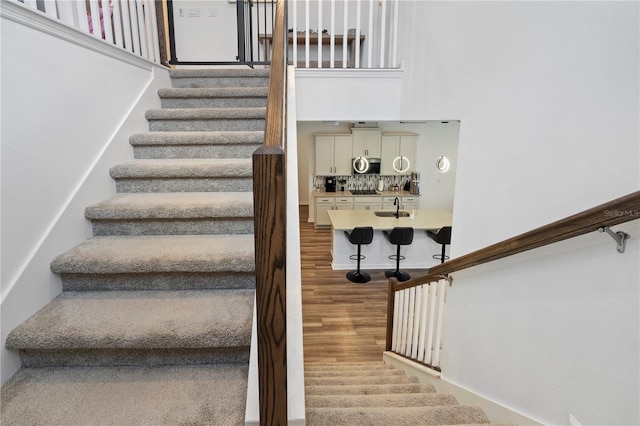 2227 Blue Salvia St, Clermont, FL 34711 - staircase featuring wood finished floors