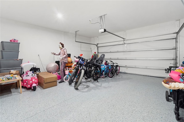 2227 Blue Salvia St, Clermont, FL 34711 - garage with a garage door opener