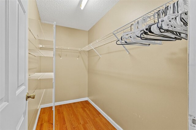 2311 Alton Rd, Deltona, FL 32738 - photo 21