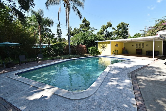 2810 Nancy St, Orlando, FL 32806 - outdoor pool featuring a patio area