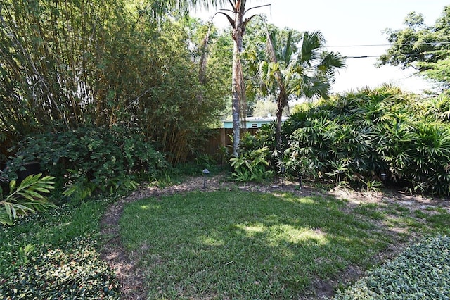 2810 Nancy St, Orlando, FL 32806 - view of yard