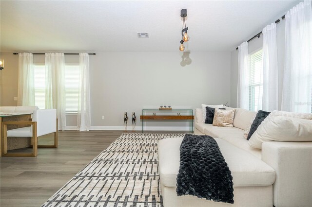 12259 Bracco St, Winter Garden, FL 34787 - living room with wood finished floors and baseboards