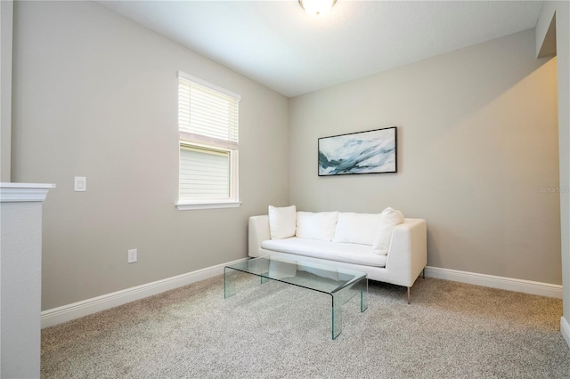 12259 Bracco St, Winter Garden, FL 34787 - living room featuring carpet flooring and baseboards