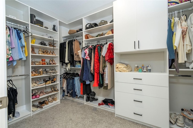 12259 Bracco St, Winter Garden, FL 34787 - walk in closet with carpet