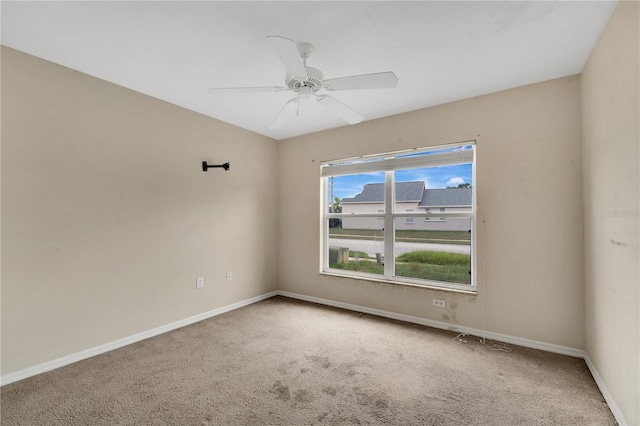 22802 Roderick Dr, Land O Lakes, FL 34639 - photo 14