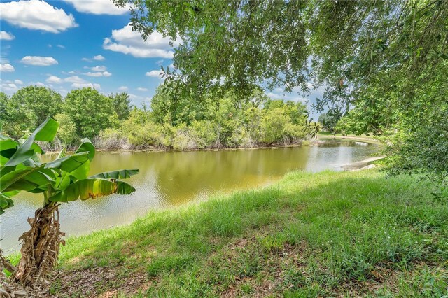 22802 Roderick Dr, Land O Lakes, FL 34639 - photo 23
