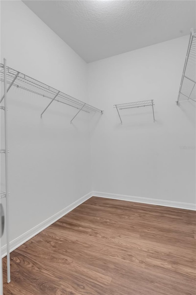 3953 Baja Dr, Saint Cloud, FL 34772 - spacious closet with wood finished floors