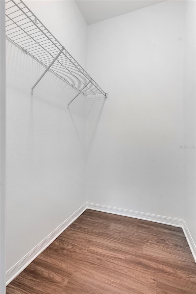 3953 Baja Dr, Saint Cloud, FL 34772 - walk in closet featuring dark wood-style flooring