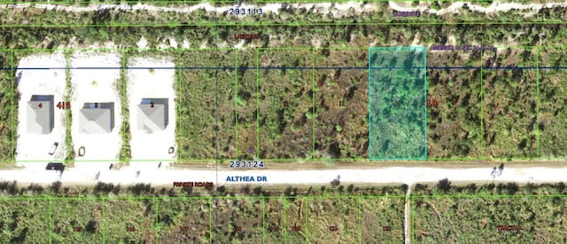 Fort Myers Dr, Indian Lake Estates, FL 33855 - photo 2
