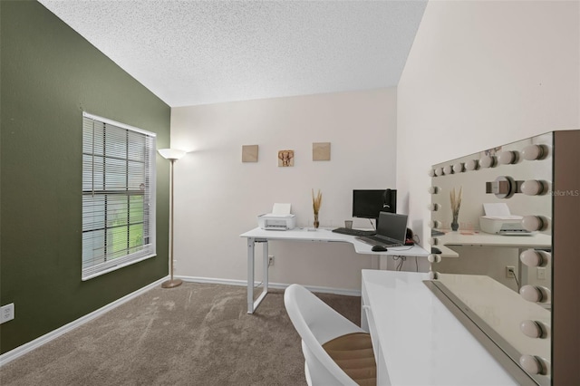 5729 Norman H Cutson Dr, Orlando, FL 32821 - office with carpet flooring, baseboards, and a textured ceiling