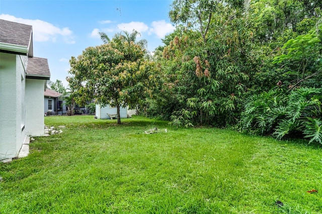 2888 Middleton Cir, Kissimmee, FL 34743 - view of green lawn