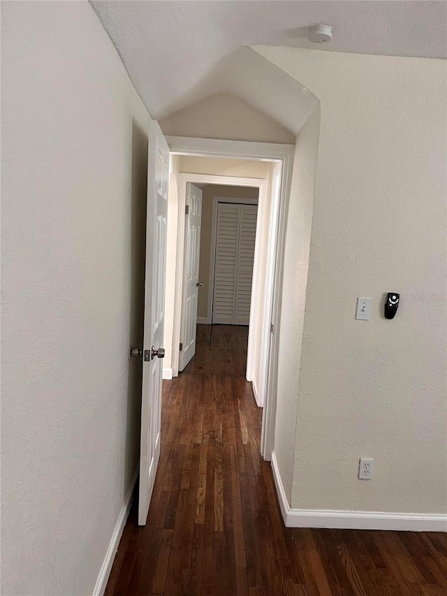 1834 28th Ave N, Saint Petersburg, FL 33713 - hall with lofted ceiling, dark wood finished floors, and baseboards