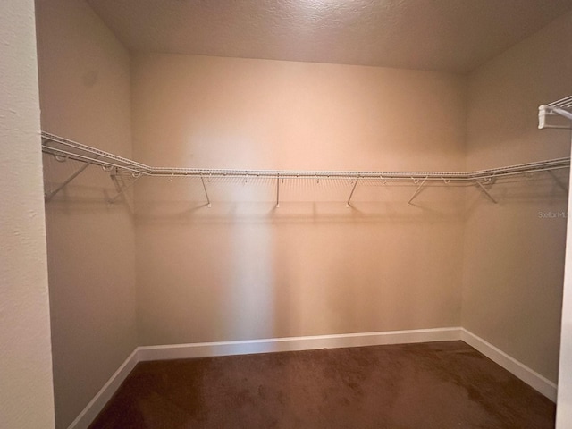 2585 Woodside Ridge Dr, Apopka, FL 32712 - spacious closet with dark colored carpet