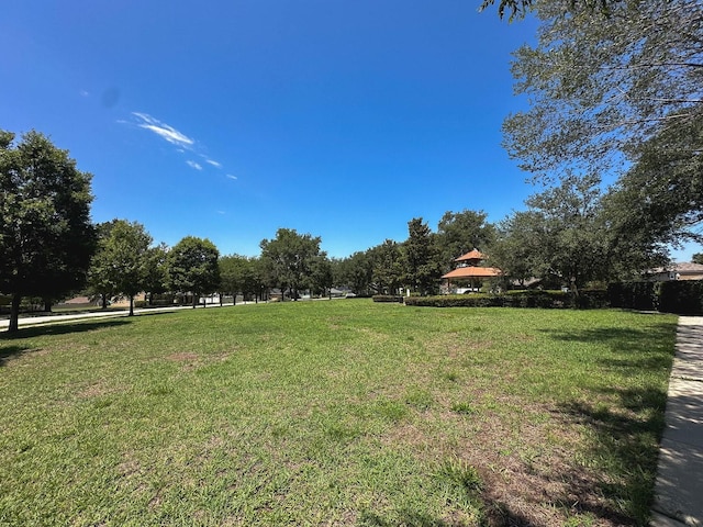 2585 Woodside Ridge Dr, Apopka, FL 32712 - view of grassy yard