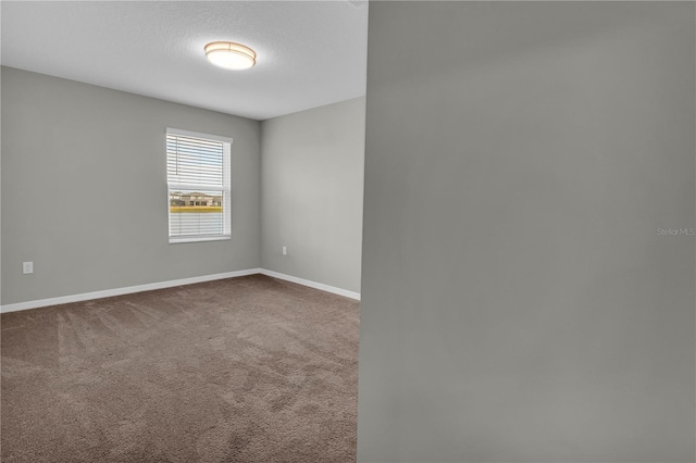 3137 Marine Grass Dr, Wimauma, FL 33598 - empty room with baseboards and carpet