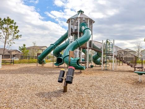 3137 Marine Grass Dr, Wimauma, FL 33598 - view of community play area