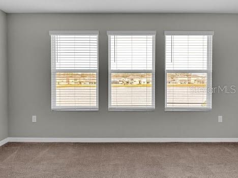 3137 Marine Grass Dr, Wimauma, FL 33598 - carpeted empty room with baseboards