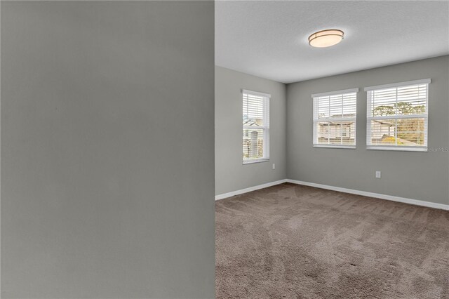 3137 Marine Grass Dr, Wimauma, FL 33598 - carpeted spare room featuring baseboards
