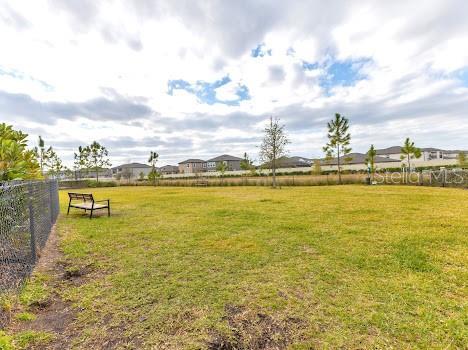 3137 Marine Grass Dr, Wimauma, FL 33598 - view of yard